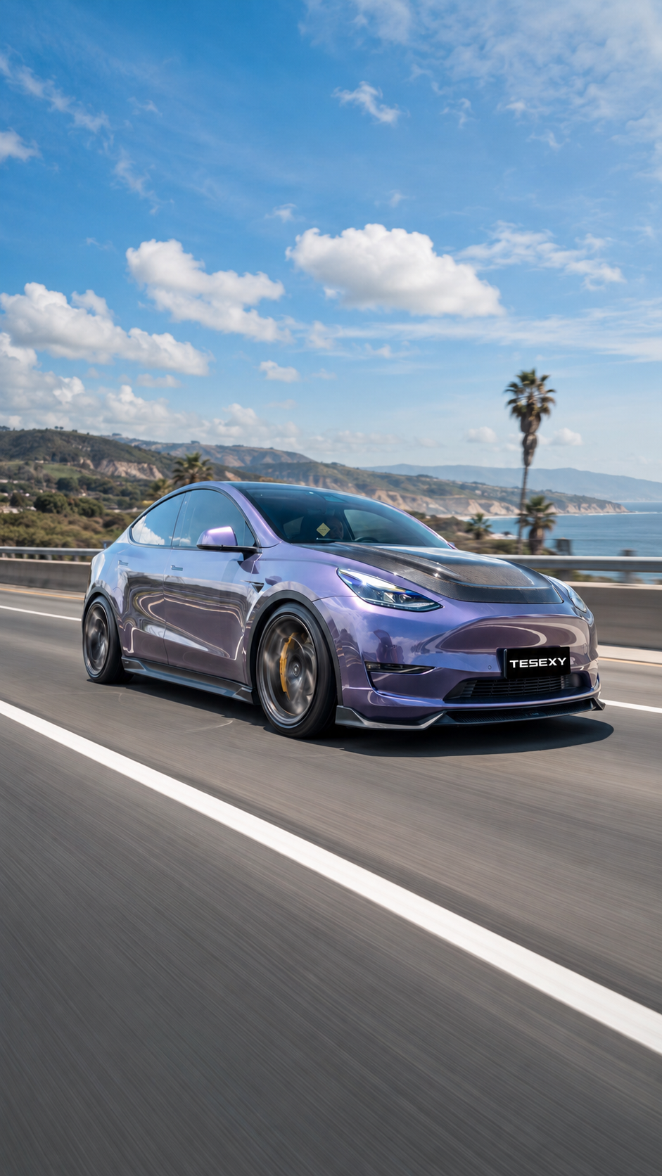 2020-2024 Model Y Matte Full Body Kits-Tesexy01