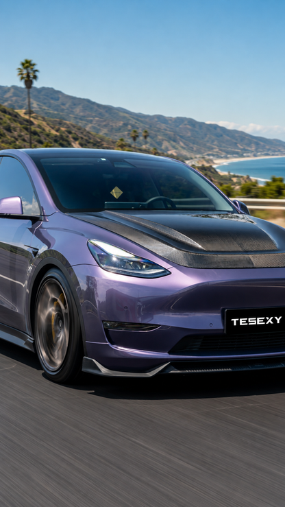 2020-2024 Model Y Matte Full Body Kits-Tesexy01