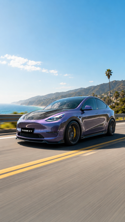 2020-2024 Model Y Matte Full Body Kits-Tesexy01