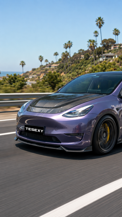 2020-2024 Model Y Matte Full Body Kits-Tesexy01