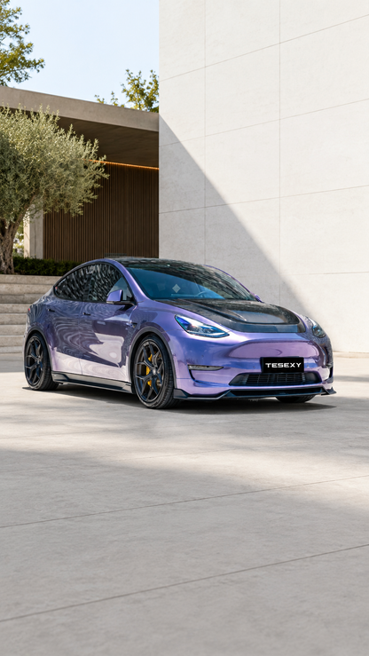 2020-2024 Model Y Matte Full Body Kits-Tesexy01