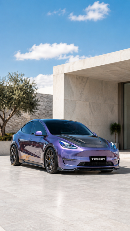 2020-2024 Model Y Matte Full Body Kits-Tesexy01