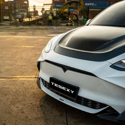 2020-2024 Model Y Full Body Kits-Tesexy02