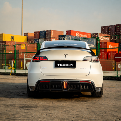 2020-2024 Model Y Full Body Kits-Tesexy02