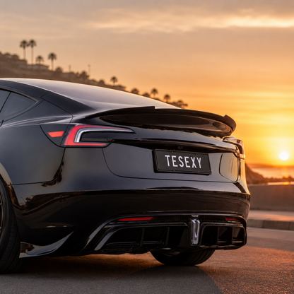 Model 3 Highland Glossy Full Body Kits-Tesexy 01