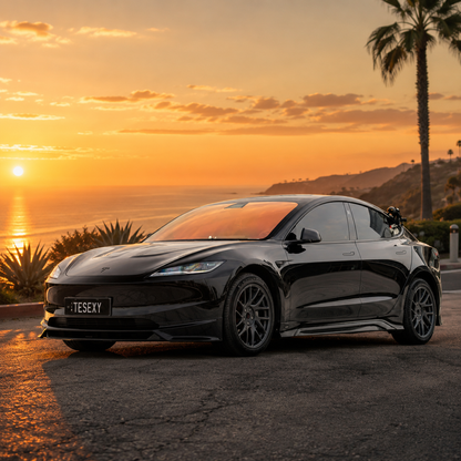 Model 3 Highland Glossy Full Body Kits-Tesexy 01