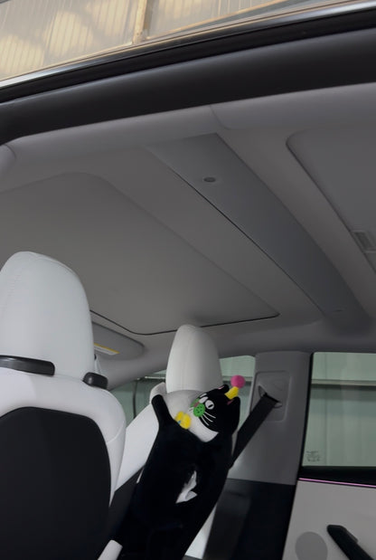 Manual Roller Glass Roof Sunshade for Tesla Model 3 & Model Y/YL