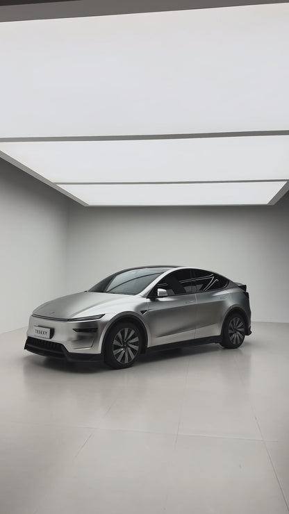 Alexander silver Vinyl Wrap